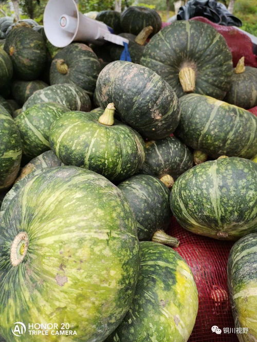 铜川王家河集市会上的蔬菜瓜果和当地美食杂酱面