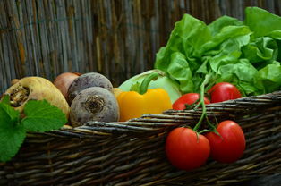 蔬菜,蕃茄,菜篮子,沙拉,花园,收获,新鲜,素食主义者,吃,健康,维生素,生的食物,食品